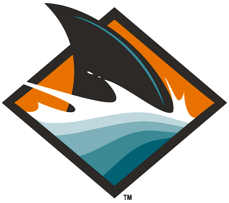 San Jose Sharks 2008-Pres Alternate Logo iron on transfers for fabric